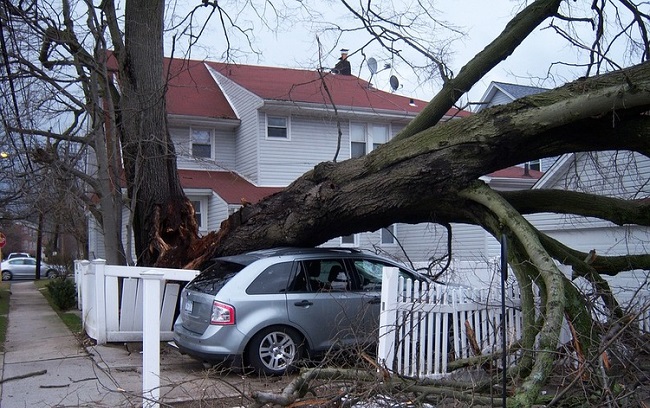 Houston Weather Tree Damages Home And Suv During Strong ...
